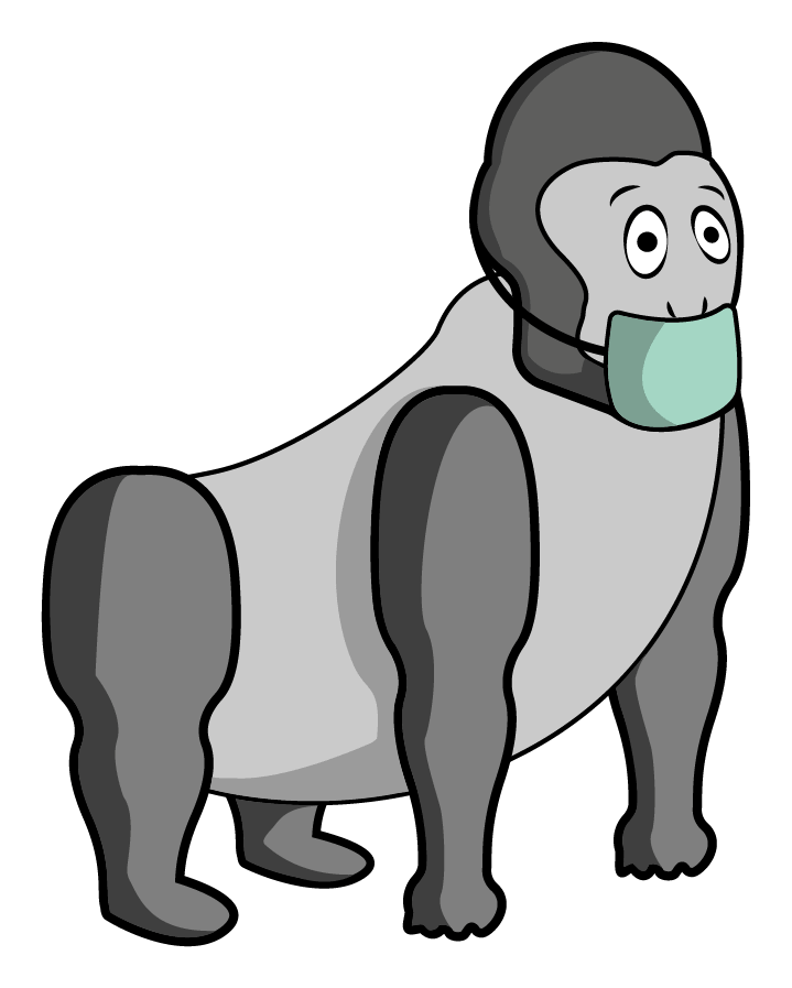 Gorillas können sich bei Menschen mit Grippe anstecken.